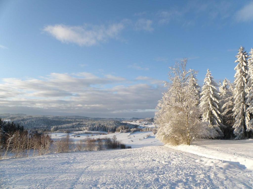 Отель Prinzenhof Gross Gerungs Экстерьер фото