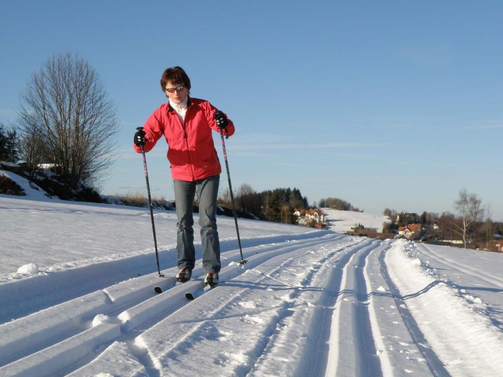 Отель Prinzenhof Gross Gerungs Экстерьер фото