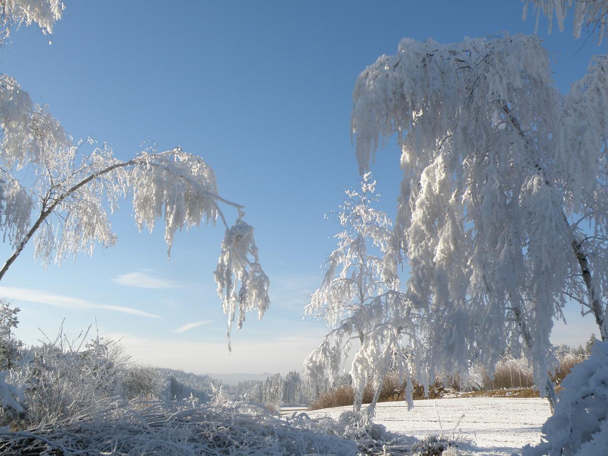 Отель Prinzenhof Gross Gerungs Экстерьер фото